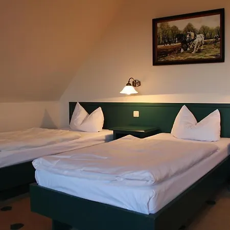 Müritz Grüner Baum Hotel