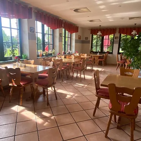 Mueritz Gruener Baum