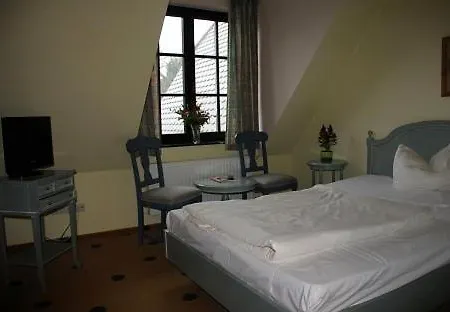 Mueritz Gruener Baum Gotthun