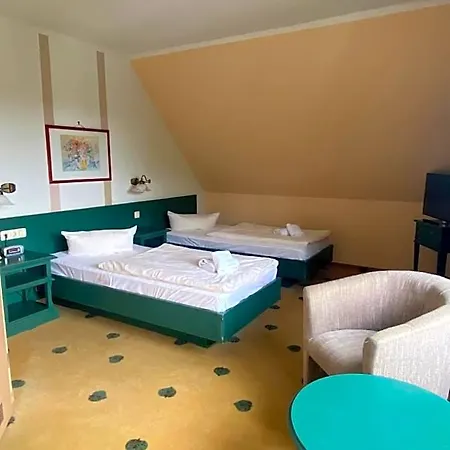 Müritz Grüner Baum Hotel
