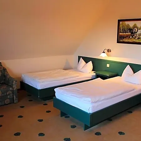 Hotel Müritz Grüner Baum Gotthun