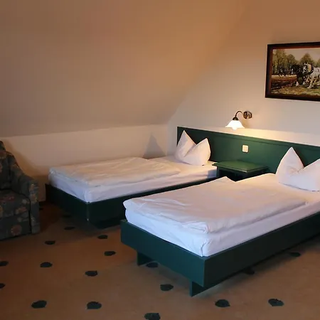 Mueritz Gruener Baum